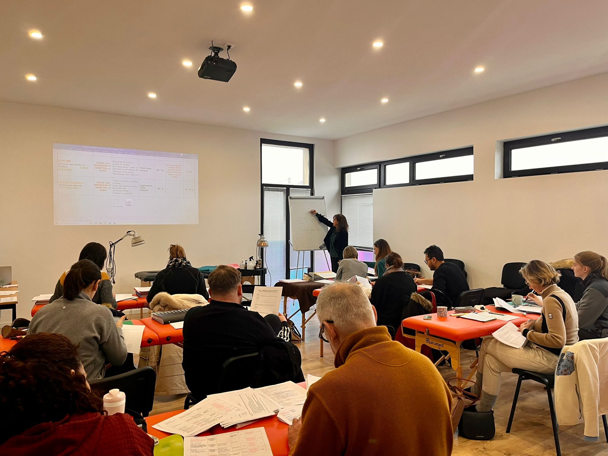 Formation en Acupuncture — pratique clinique